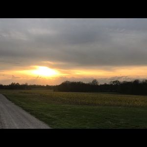 Meet your Posher, Mitzi